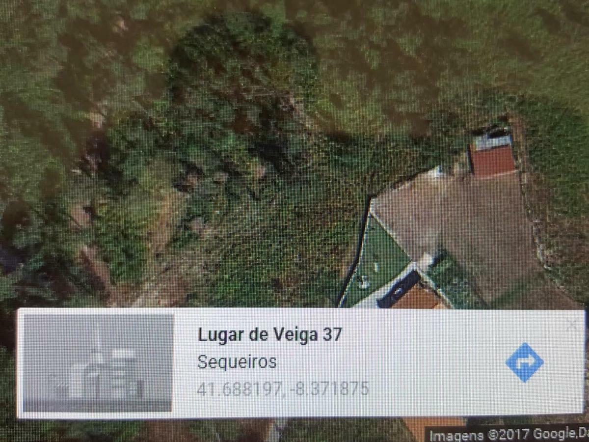 Quinta Do Rio Homem كالديلاس المظهر الخارجي الصورة